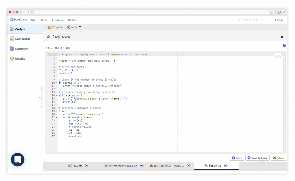 Data expression customization